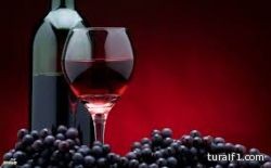 اصطياد طائر يحمل أرقاما وعبارات بالانجليزية على جسمه بالقرب من الحدود العراقية