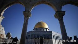 مسلحو الدولة الإسلامية “يرغمون على الخروج ” من عين العرب