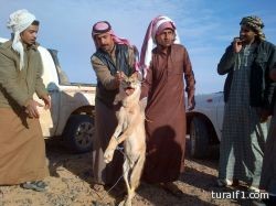 بلدية العويقيلة تعلن عن طرح مناقصات على عدد من المشاريع التنموية بالمحافظة