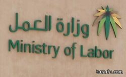 “العمل”: استحداث 9 أنشطة اقتصادية جديدة في “نطاقات”