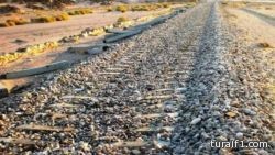الاحتفال بزفاف قردين في قرية هندية