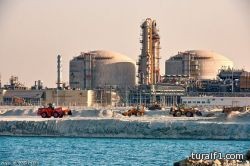 برازيلي يصنع فطائر اللحمة من أجساد السيدات