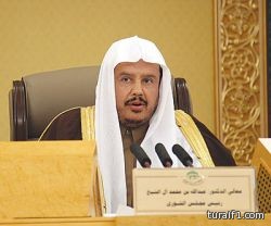 رئيس “الشورى”: اتفاق الرياض أعاد الأمل للعمل العربي المشترك