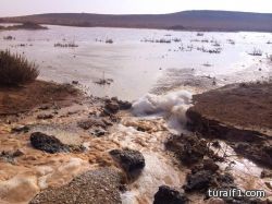 الجمعية الخيرية برفحاء تنظم ندوة بعنوان التفكك الاسري وأفة المخدرات على الناشئة