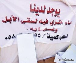 «العمل»: نتدرج في رفع الحد الأدنى للأجور ليستوعبها السوق بهدوء