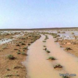 رد شديد اللهجة من حارس الكويت بعد شائعات هروبه