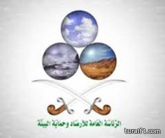 في افتتاح الجولة “11” من دوري جميل اليوم.. النصر يصطدم بالفيصلي والفتح يهدد الأهلي