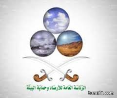 الأرصاد : سماء غائمة جزئياً على أجزاء من شمال المملكة