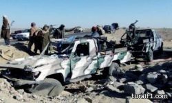 قاعدة اليمن تستخدم كلاباً ناسفة لتنفيذ عملياتها