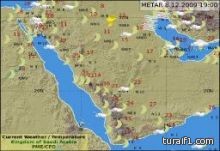 المسلمون البريطانيون غاضبون من راقصة تعلِّم السعوديات “الرقص على العمود”