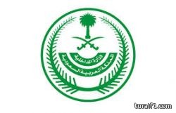 الداخلية تنفذ حكم القتل تعزيراً بمهرب مخدرات في محافظة القريات قبل قليل