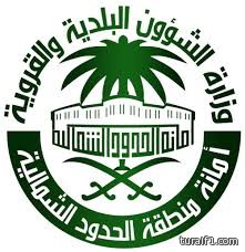 المرصد السوري يؤكد أن «عين العرب» شبه محررة من داعش