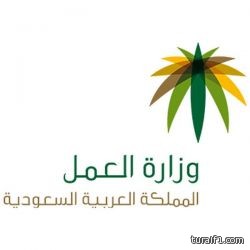 لجنة وزارية عاجلة لدراسة وحل مشاكل المعلمين