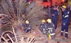 سقوط نخلة بالجوف يؤدى الى وفاة إمرأة