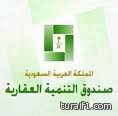 الخطوط السعودية : صلاحية التذاكر الداخلية 3 أشهر .