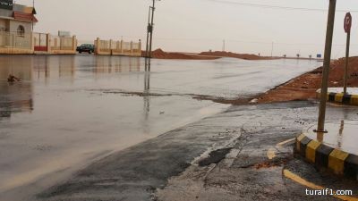 الشرطة الهندية تسجن (حمامة) بتهمة التجسس