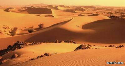 سرقة جوالات عدد من مرتادي نادي اللورد الرياضي بطريف
