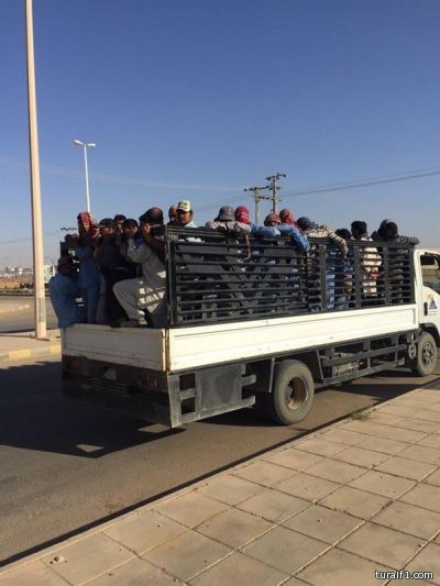 بالصور..مكتب عمل طريف يخالف شركة كدّست 20 عاملاً في صندوق سيارة