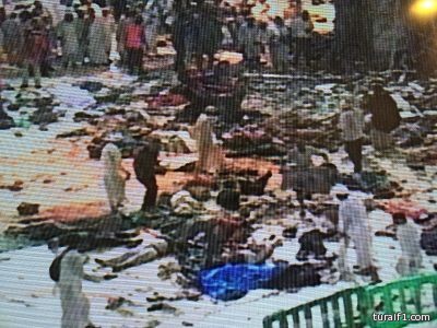 “اللجنة الدائمة للإفتاء” تفتي بمنع دخول الإبل للمشاعر وعدم ذبحها في الهدي والأضاحي والفدية