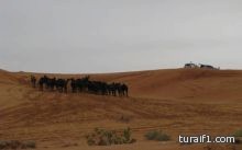 شركة أرامكو تفتح باب التقديم في ” شركة صدارة ارامكو ” لحديثي التخرج من المرحلة الثانوية والكليات التقنيةوالصناعية