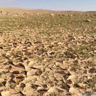 زوج يعتدي بالضرب على زوجته بعرعر والزوجة تستنجد بالدوريات الأمنية