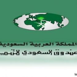 الهلال يجتاز التعاون بثنائية ويلاقي القادسية في ربع نهائي كأس ولي العهد