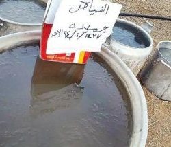 سمو سفير خادم الحرمين الشريفين يسلم اوراق اعتماده لجلالة الملك عبدالله الثاني بن الحسين