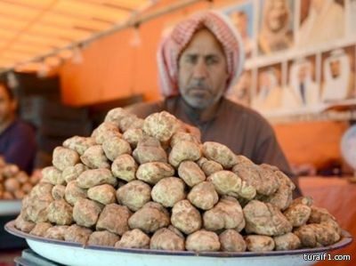 الفقع..العشق الشتوي للمجتمع السعودي