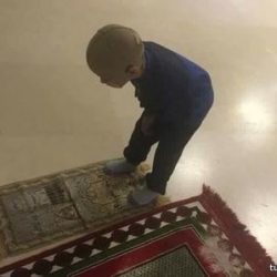 هولندا تدرب النسور للإمساك بالطائرات بدون طيار