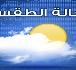 أمانة الشمالية تنفذ 1025 حملة تفتيشية وترصد 598 مخالفة بإجمالي غرامات نصف مليون ريال