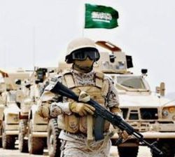 أمير الحدود الشمالية يلتقي مستثمرين في المجال الطبي