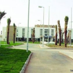 بالفيديو..قائد المنطقة الشمالية يتفقد القوات المشاركة في “رعد الشمال”