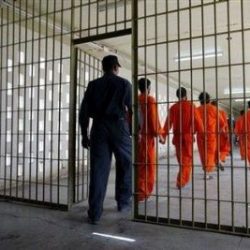 إمارة الشمالية تنفي إعفاء وكيلها من منصبه