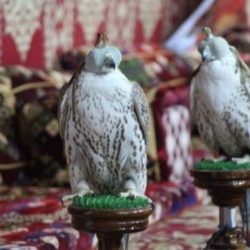 العين الإماراتي يفوز على الأهلي بالجولة الثالثة من دوري أبطال آسيا