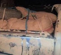 فادي العنزي و صلاح العنزي ومحمد الرويلي يحصلون على شهادة البكالوريوس من جامعة الجوف