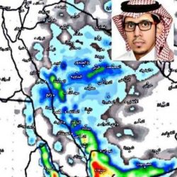 العد ل: المحاكم تنظر 4.675 قضية سب وشتم وقذف تسبب فيها مغردون