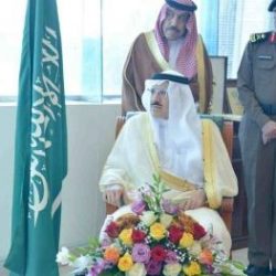 “سياحة الشمالية” تضبط 10 مخالفات عدم وجود رخصة تشغيل