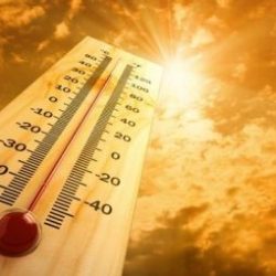 هدف : توظيف 52.4 ألف مواطن خلال الربع الأول منهم 39 % إناث