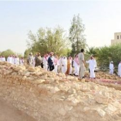 القوات الجوية تعلن فتح باب التسجيل للالتحاق بالخدمة العسكرية لحملة عدد من المؤهلات