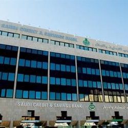 مجلس الغرف السعودية يشكل فريق عمل لبحث ومتابعة قضايا صناعة السيراميك والبورسلان