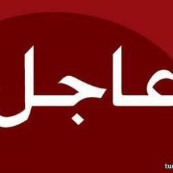 الشؤون البلدية تعتزم توسيع صلاحيات أعضاء المجالس البلدية ومنحهم حق تعيين رؤساء البلديات