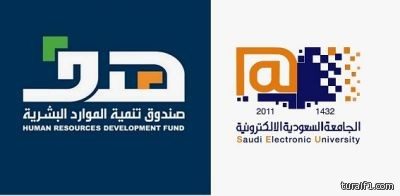 أنباء عن إطلاق “مخيم صيفي رقمي” لتدريب 250 ألف مواطن ومقيم بالمجان
