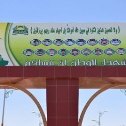 بالصور..انقلاب شاحنة غاز على طريق عرعر – رفحاء