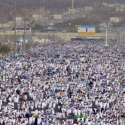 إطلاق نظام “تدوير” لتيسير نقل الموظفين بين الجهات الحكومية
