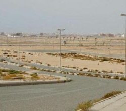 “هيئة الاتصالات”: 25 مليون ريال غرامة المتلاعبين في توثيق الشرائح بالبصمة