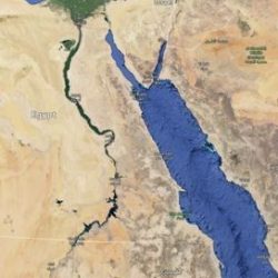 أسعار اللحوم والمطاعم بعد نزول أسعار المواشي تثبت أسعارها والمواطنون يطالبون البلدية بالتدخل