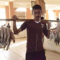 بوابة «سعودي» تتيح الوصول إلى 2453 خدمة إلكترونية