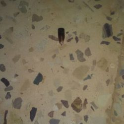 اسمنت الشمالية تعلن عن توزيع ارباح على المساهمين