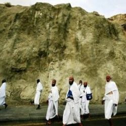 “البيئة والزراعة” توضح حقيقة إصابة بعض المواشي بفايروس “قاتل”