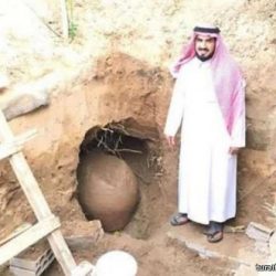 1750 حالة هروب للفتيات العام الماضي.. 67 % منها لأجنبيات
